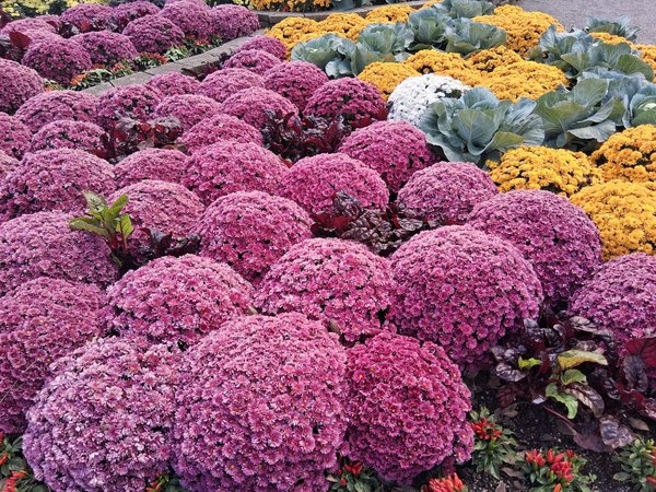 Mastering Mail Forwarding: Essential Strategies for Frequent UK Movers